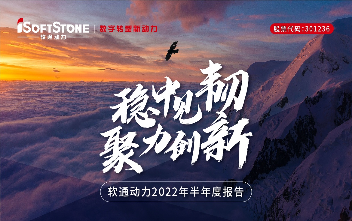 一图看懂云顶集团动力2022年半年度汇报