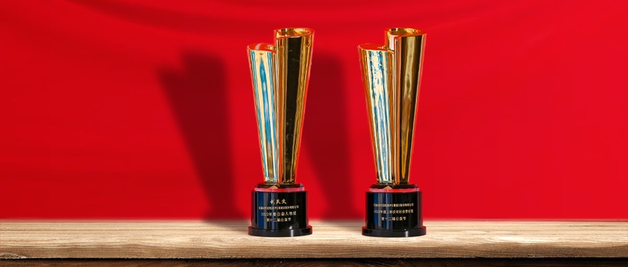 益起向将来 云顶集团动力荣膺第十二届公益节两项大奖