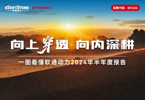 一图看懂云顶集团动力2024年半年度汇报