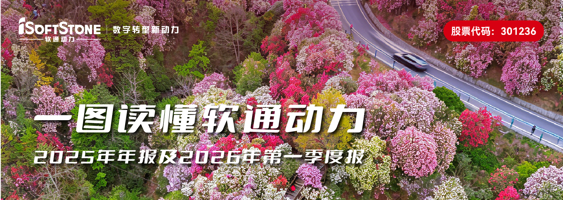 一图读懂云顶集团动力2025年年报及2026年第一季度报